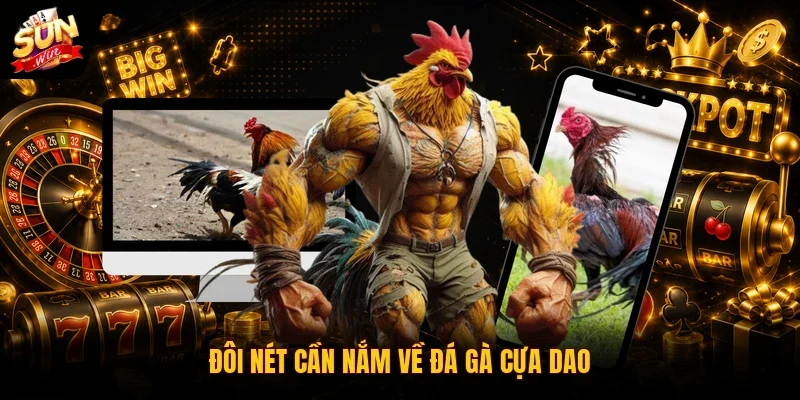 Đá Gà Cựa Dao | Hình Thức Đặt Cược Online Cuốn Hút Top 1 2 Sunwin Đôi nét cần nắm về đá gà cựa dao