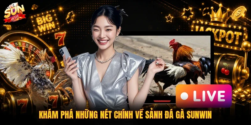 Đá Gà SUNWIN 1 Sunwin Khám phá những nét chính về sảnh đá gà SUNWIN