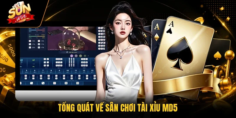Tài Xỉu MD5 Với 3 Cách Theo Cầu Được Quan Tâm Nhất 2026 2 Sunwin Tổng quát về sân chơi tài xỉu MD5
